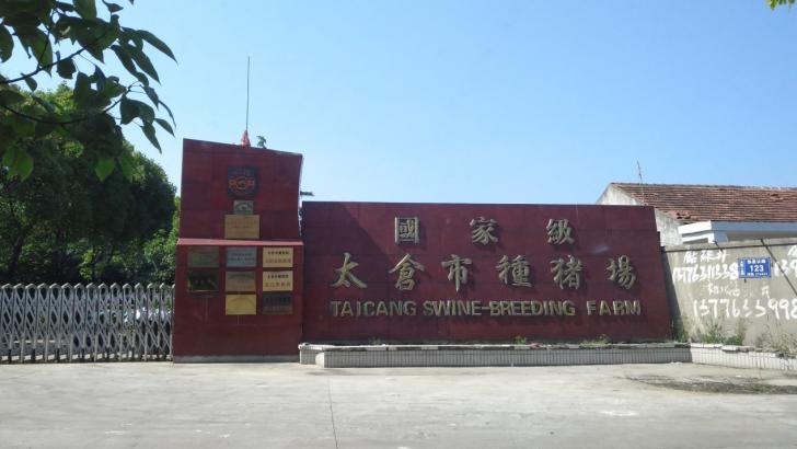 苏州市太仓养猪场污泥处理  DL-301 100T/D养猪污泥脱水应用